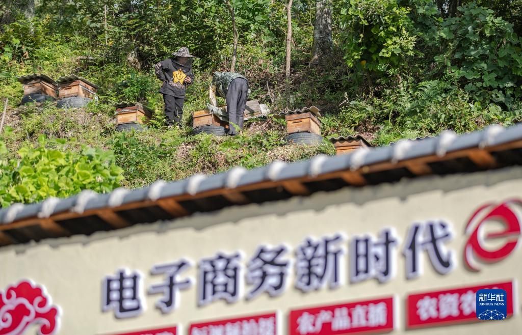 波克捕鱼微信转区